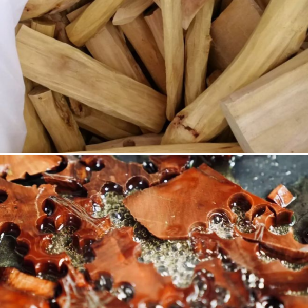 六韻芳華｜海南檀香